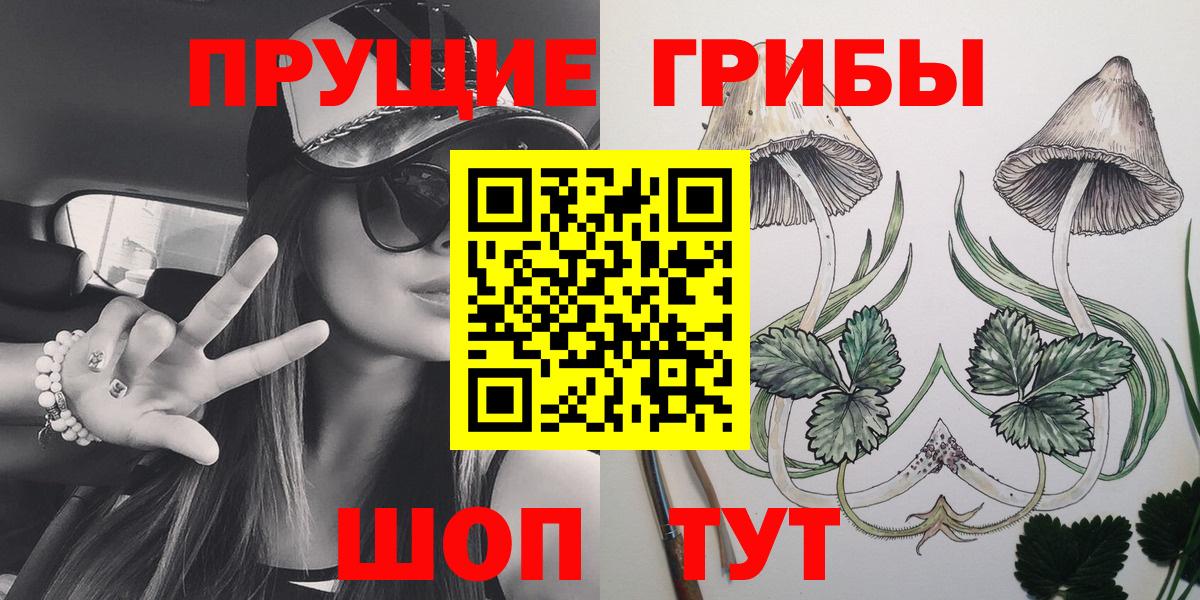 Псилоцибиновые грибы Cubensis  Вход с VPN  Елец 